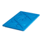 Cambro Ice Pack - CP1220159
